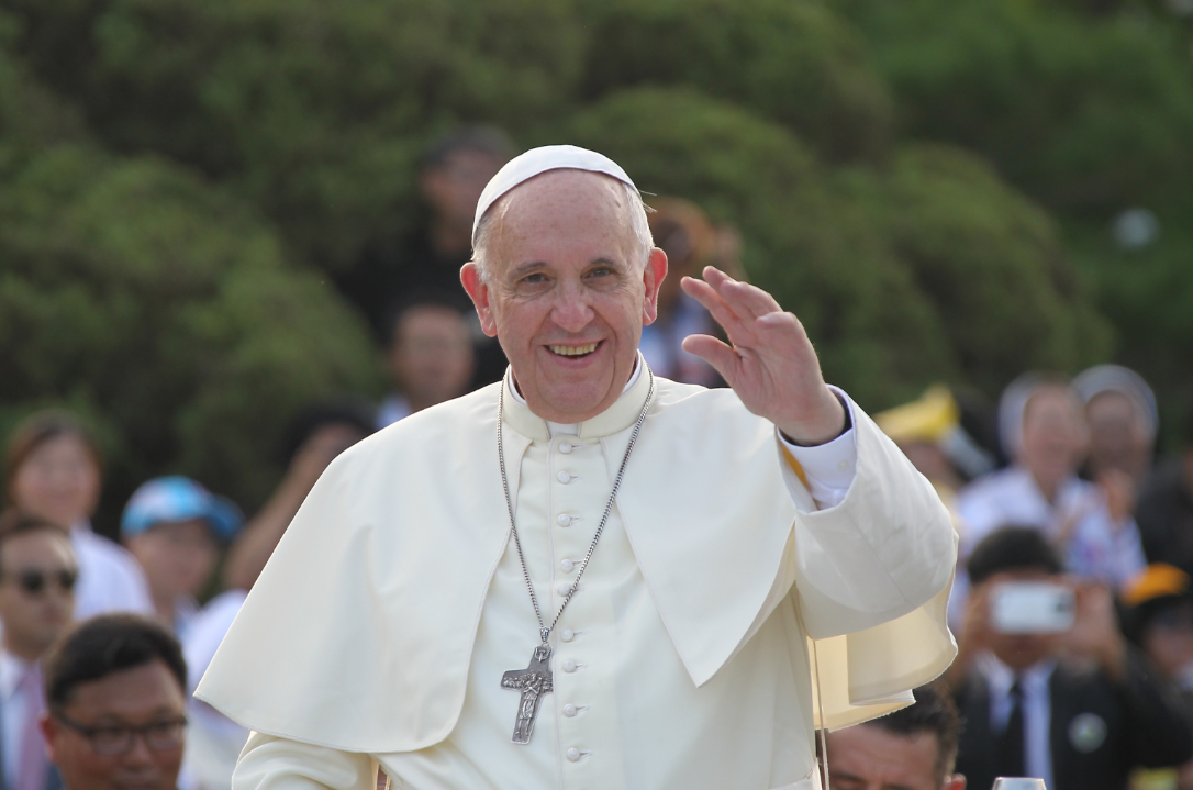 프란치스코 교황의 생애와 역할, 업적, 개혁 정책, 존재 의미.