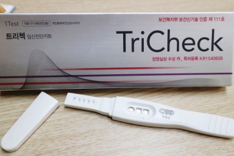 임신진단 테스트기 사용법 사용시기 원리