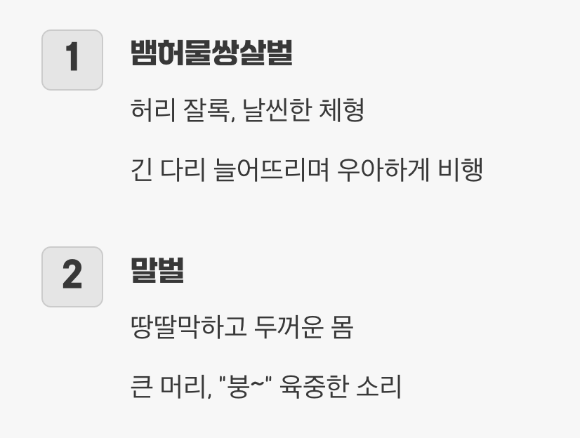 한눈에 보이는 외형 차이, '몸매'