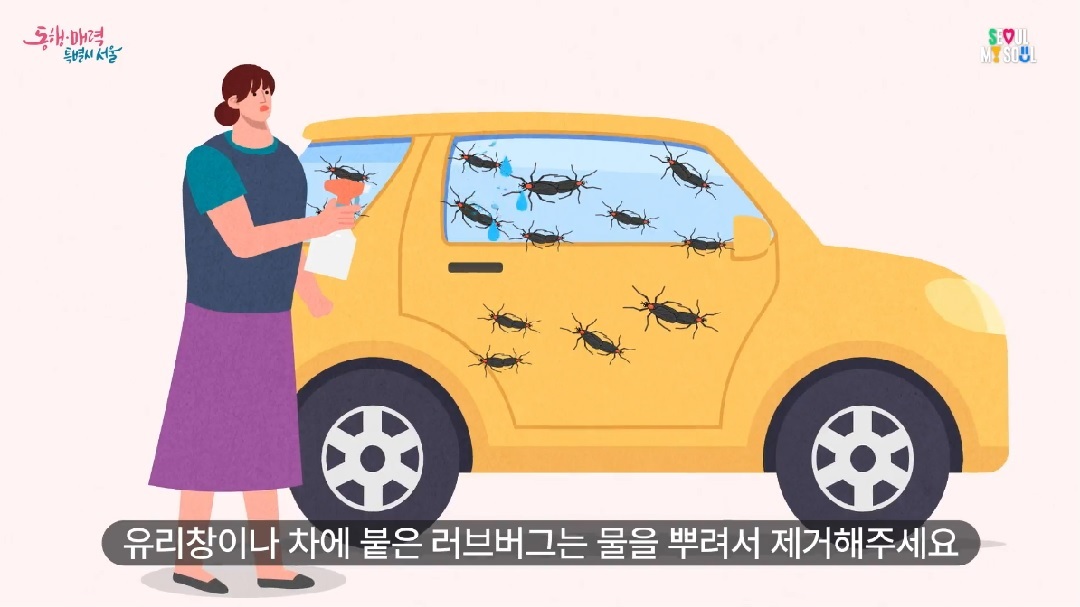 러그버그