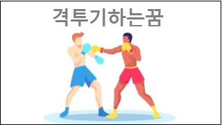 격투기하는꿈