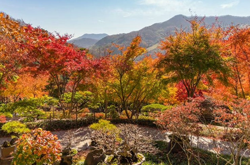 화담숲 단풍시기 (날씨별 색 변화, 11월 방문팁, 단풍 절정 정보)