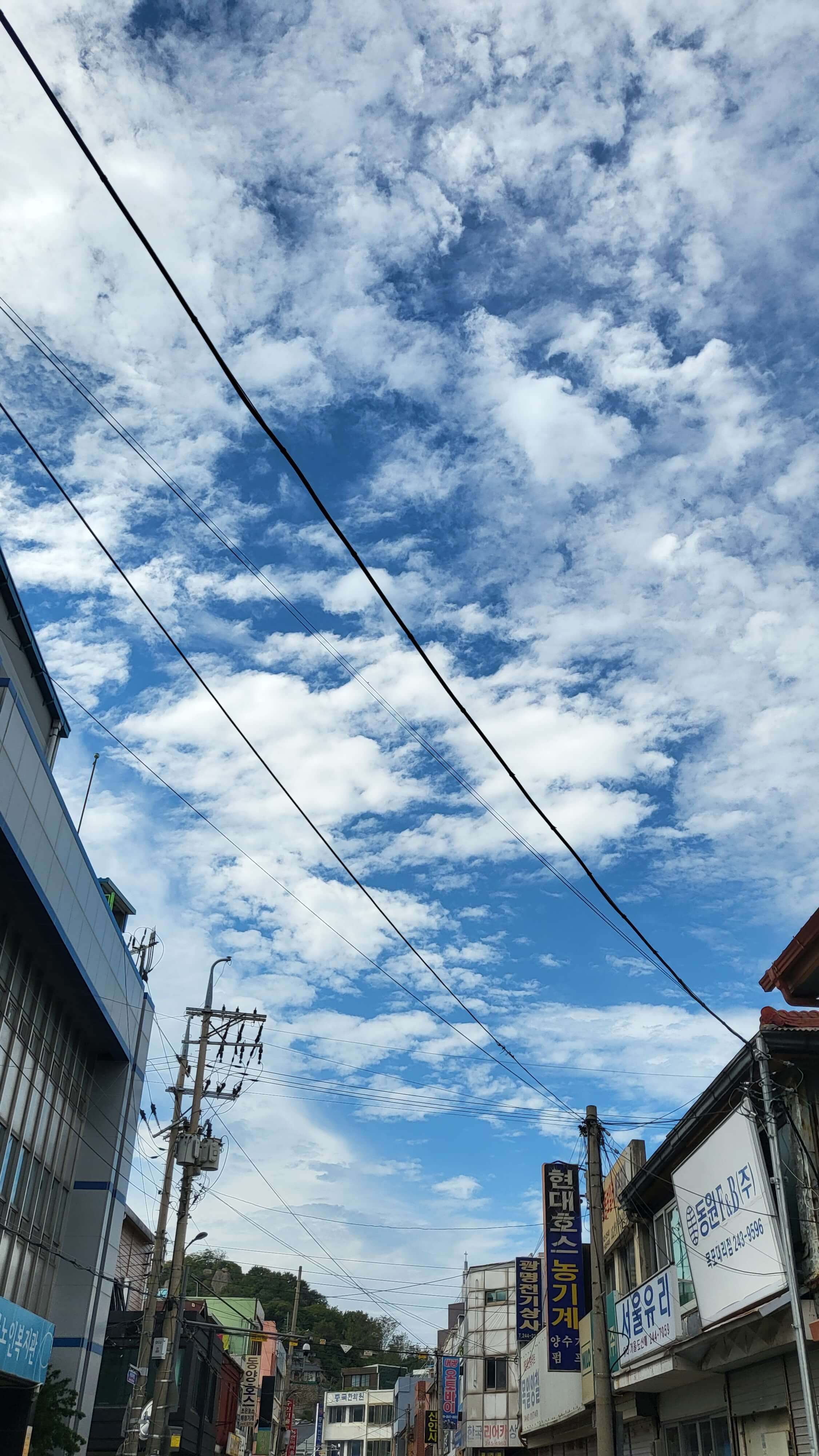전라도떡갈비맛집 성식당