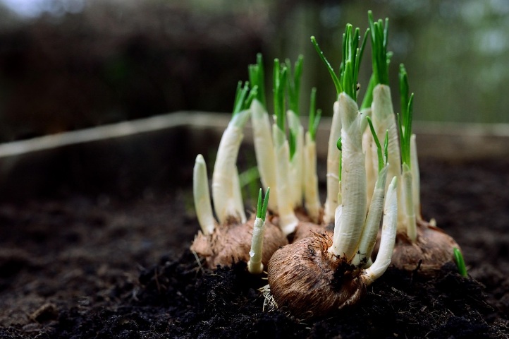 생활환경균이 많은 집과 적은 집의 ‘관리 기준’ 차이