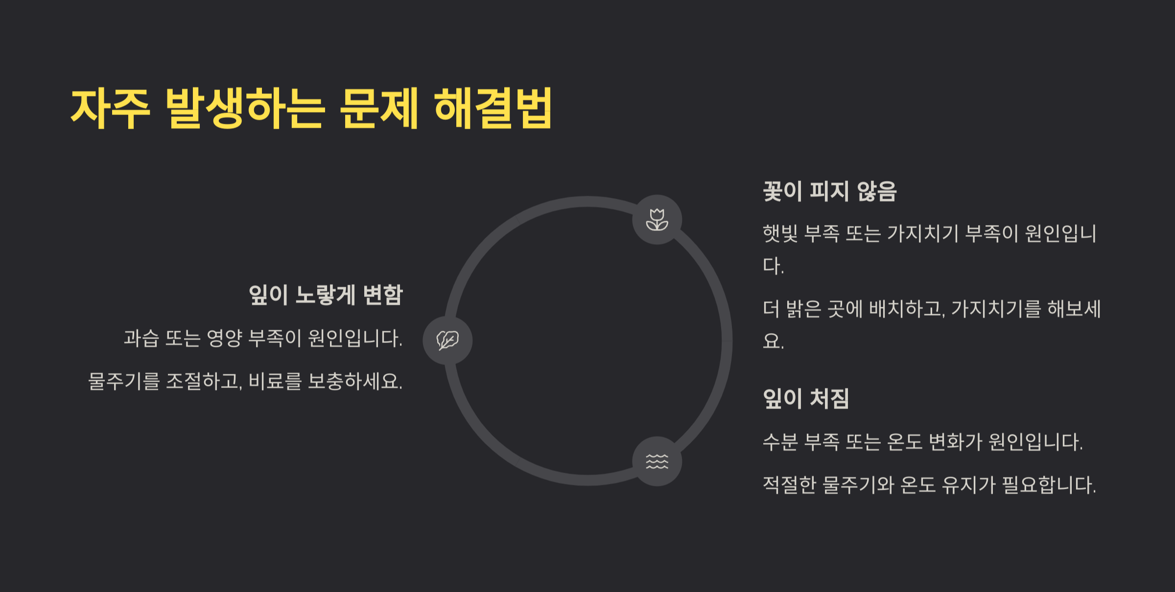 오렌지 자스민 사진
