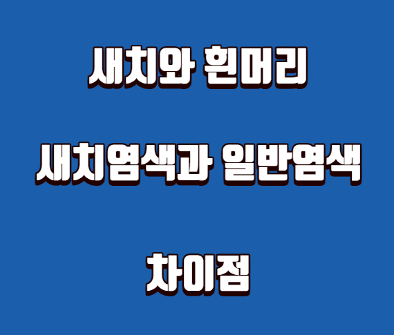새치와 흰머리, 새치염색과 일반염색 차이점