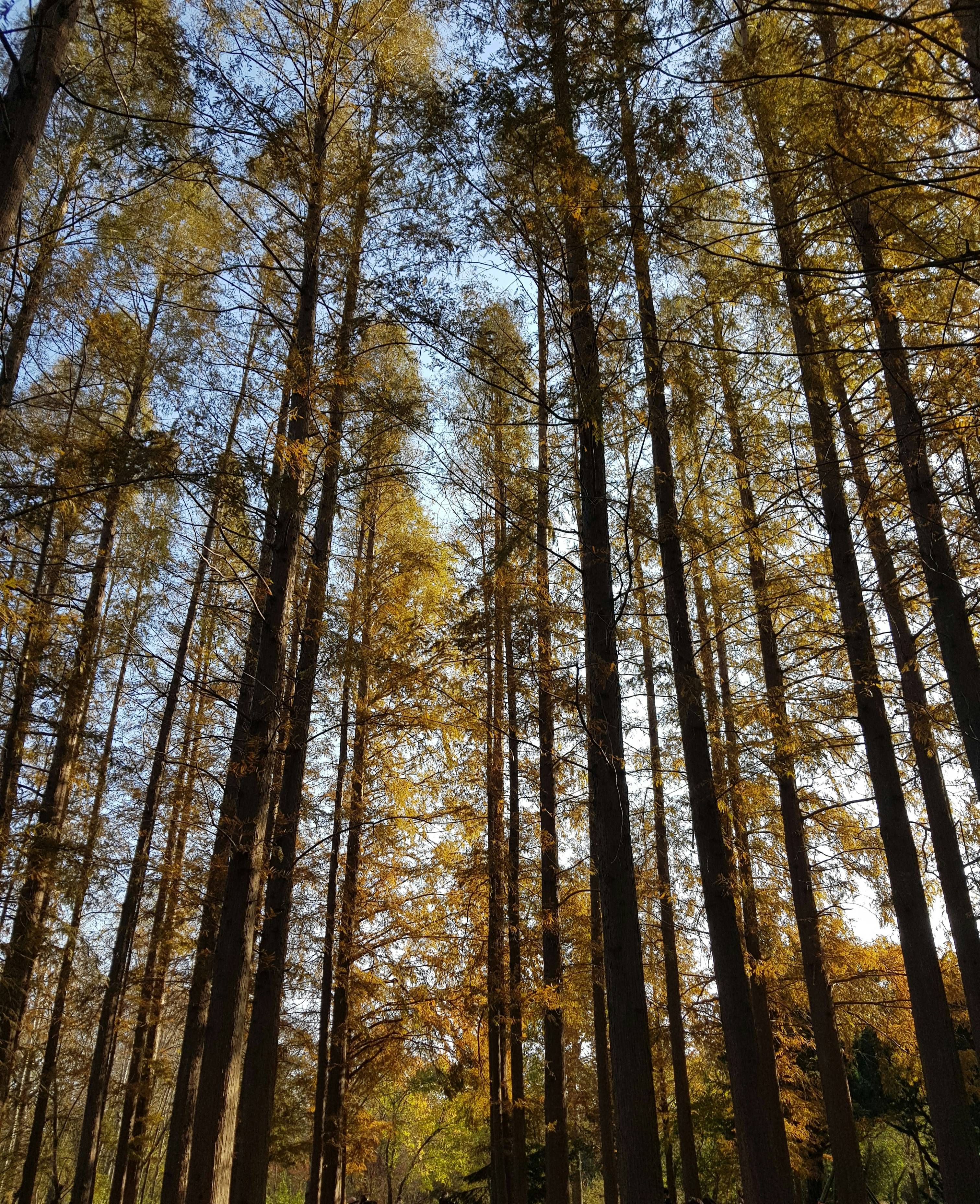 APEC 뜻 완벽 정리|아시아태평양경제협력체란? 21개국이 함께 만드는 세계 경제 협력의 중심