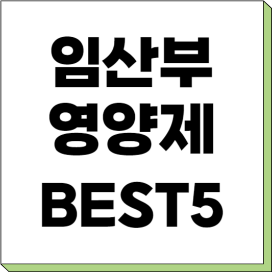 임신 준비 영양제 추천