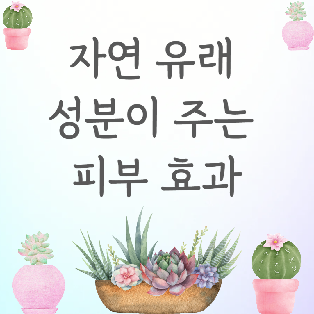 자연이 주는 선물: 피부를 위한 자연 유래 성분의 놀라운 효과