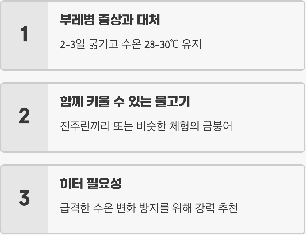 뒤뚱뒤뚱 헤엄치는 매력&amp;#44; 진주린이 최고의 관상어인 이유