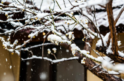 눈꿈 상황별 해몽