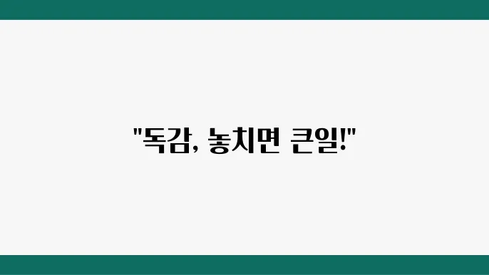 독감 초기증상 및 원인, 독감 유행 시기: B형, A형 독감 증상 완화