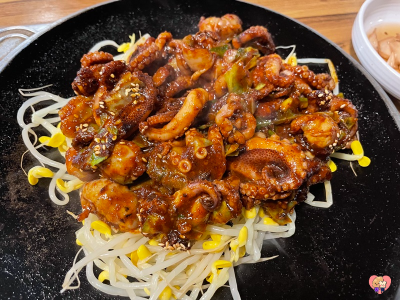 쭈꾸미 확대