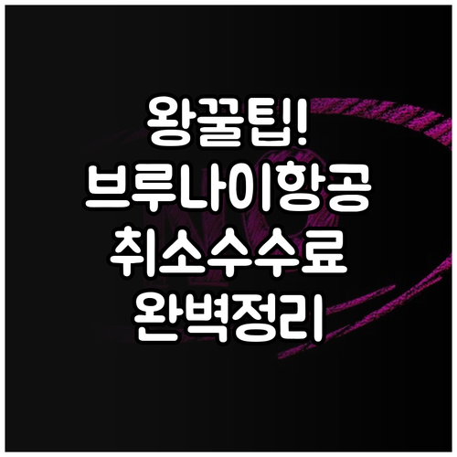 로얄브루나이항공 취소 수수료 완벽 정..