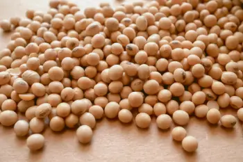 청국장 효능 및 영양성분, 주의점