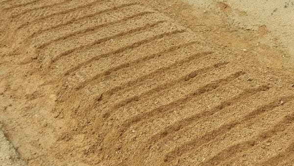 시금치-재배법-종자준비-파종방법-심는방법