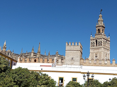 세비야 대성당 사진