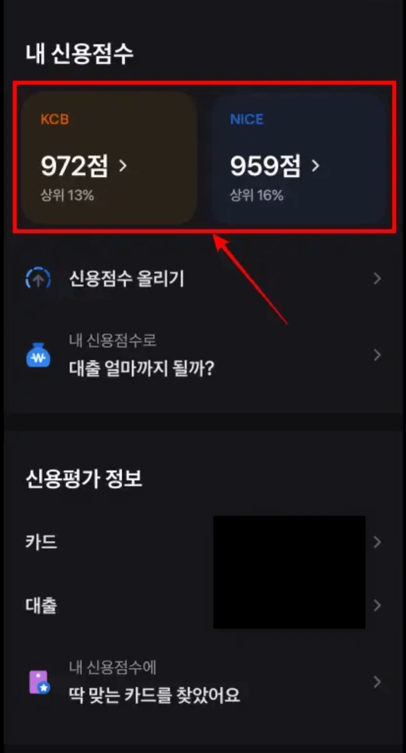 나의-신용점수-확인