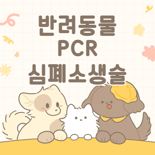 반려인이라면 꼭 알아야 할 강아지, 고양이 심폐소생술과 응급조치 방법