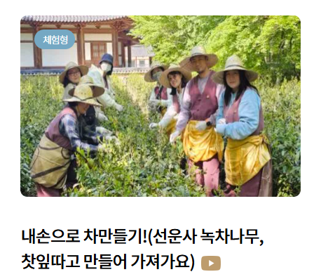 행복두배 템플스테이 행사