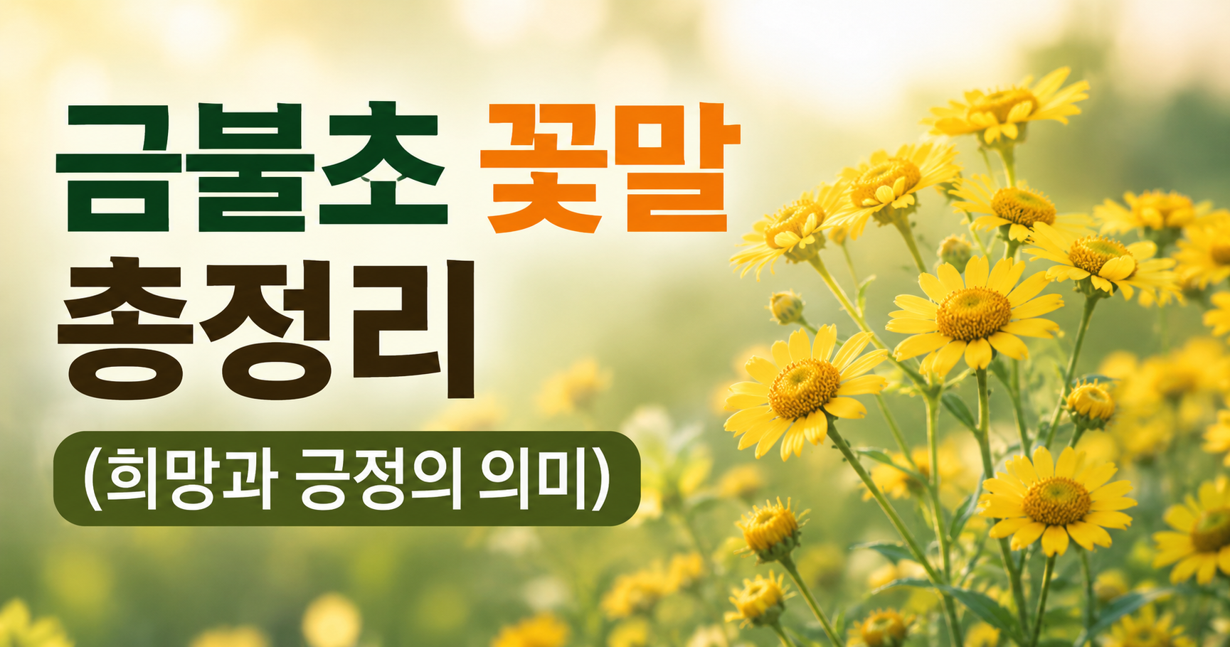 금불초 꽃말