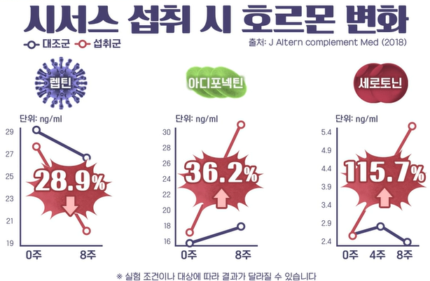 시서스 효능