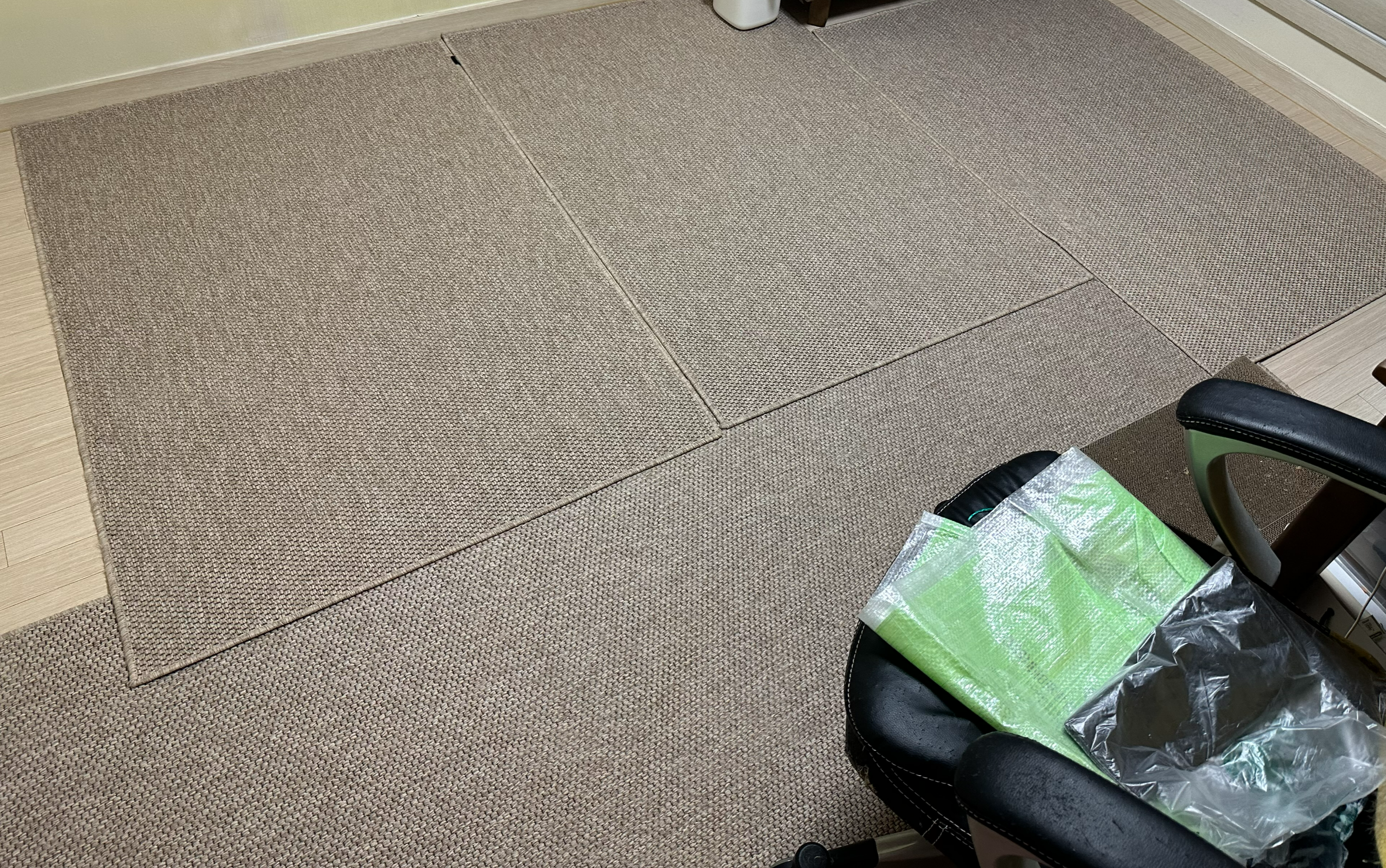 2월 고양이들 화장실 모래 전체갈이 (feat.사이잘룩러그)