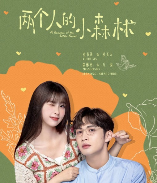 [중드추천] 드라마다시보기 량개인적소삼림 결말 줄거리 등장인물 우서흔, 장빈빈, 려가기