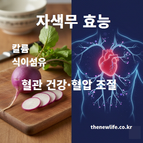자색무 효능 중 혈관 건강과 혈압 조절 도움을 표현한 인공 이미지