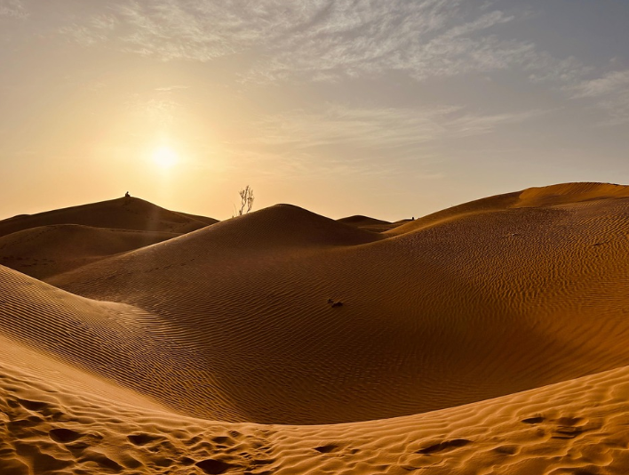 오만 사막 관련 사진