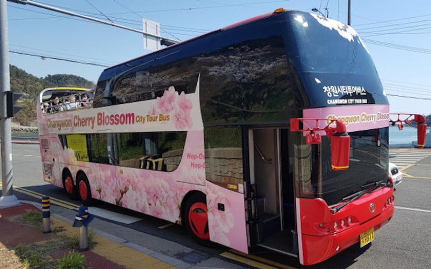 벚꽃 절정 시기 맞춰 가는 2025 진해 군항제 여행 TIP