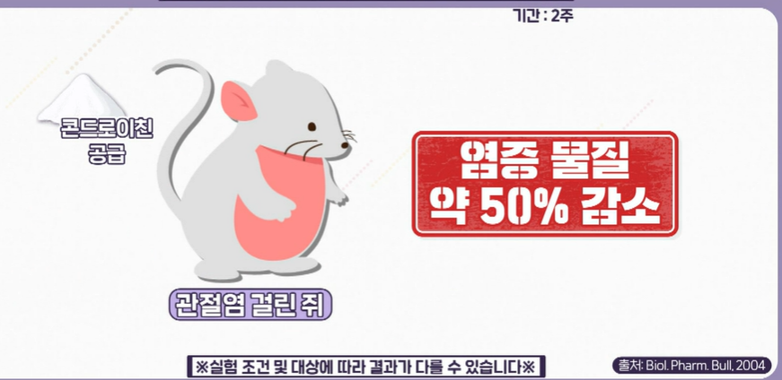 콘드로이친 효능