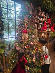 크리스마스-예약ㅍ