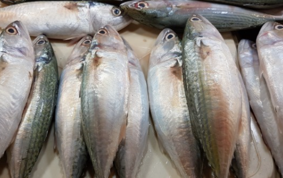 비타민 B 의 종류(분류)와 종류별 효능(역할) 및 결핍시 증상과 과잉 섭취의 부작용 