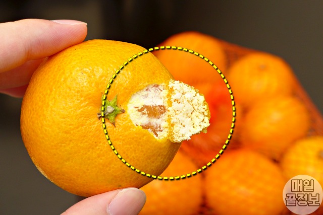 신 귤 맛있게하는법,신 귤 달게 먹는법,귤 전자렌지