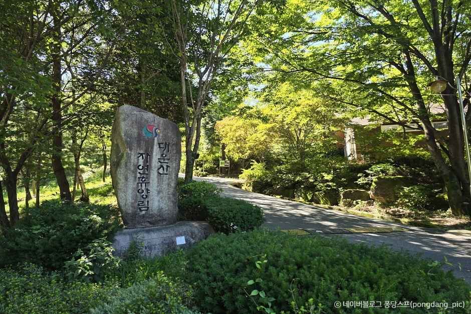 양산 가볼만한곳 베스트10