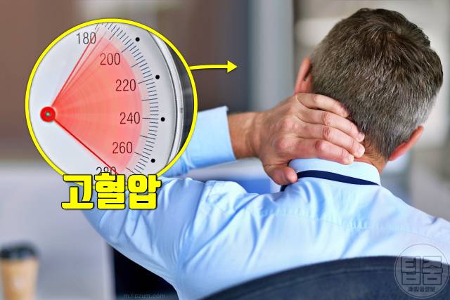 치매 걸리는 이유 습관 치매 생기는 이유 치매원인 고혈압 당뇨