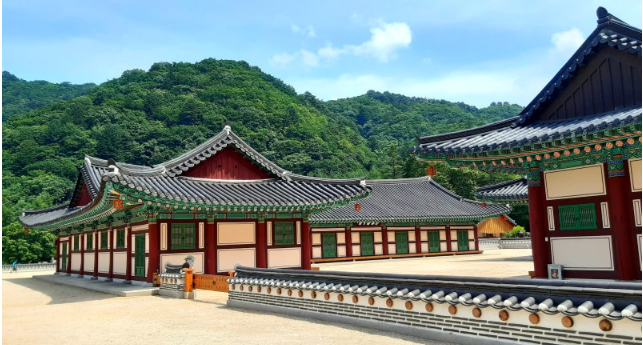 나무,풍경,사찰, 기와,마당