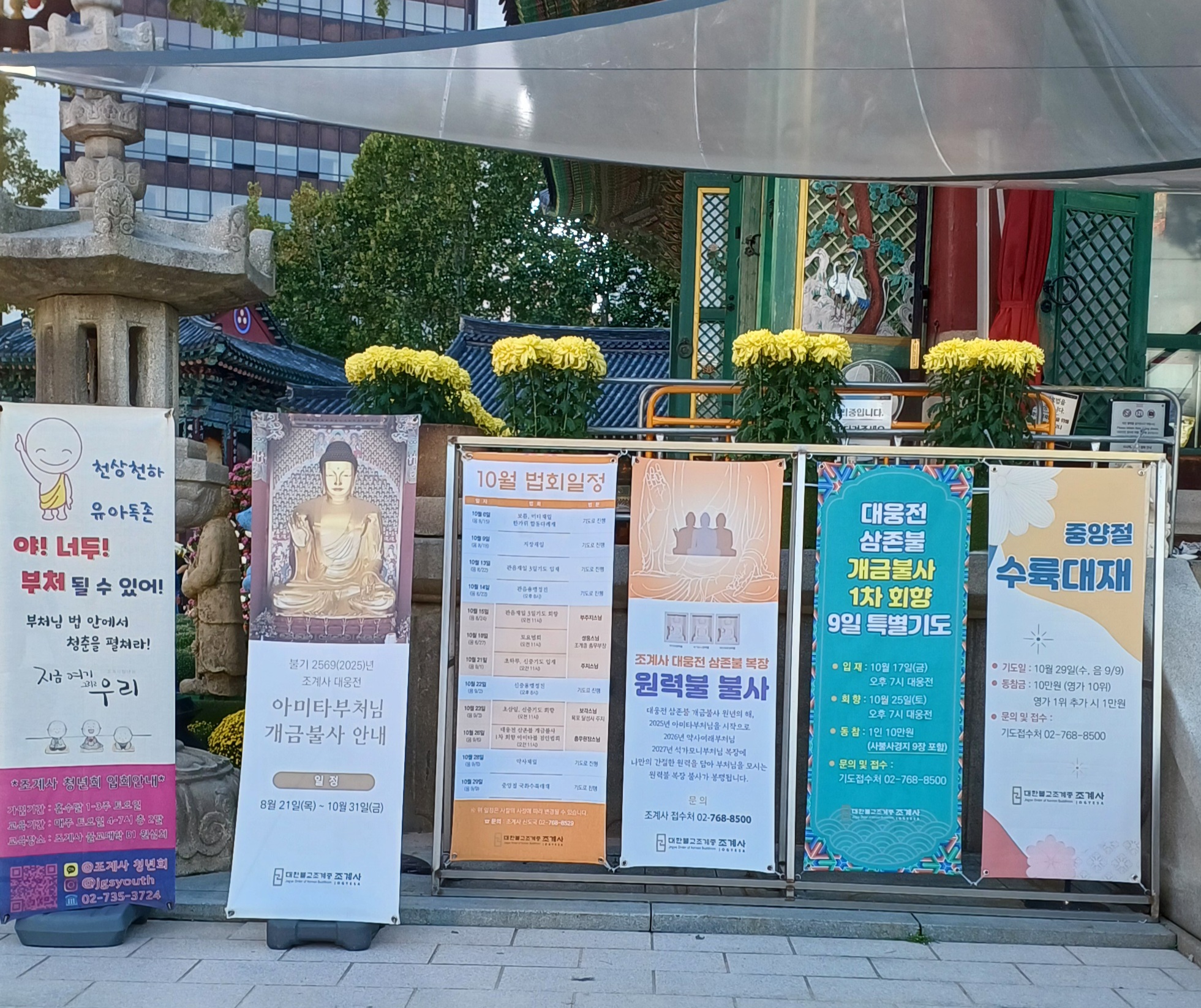 조계사-국화축제-13