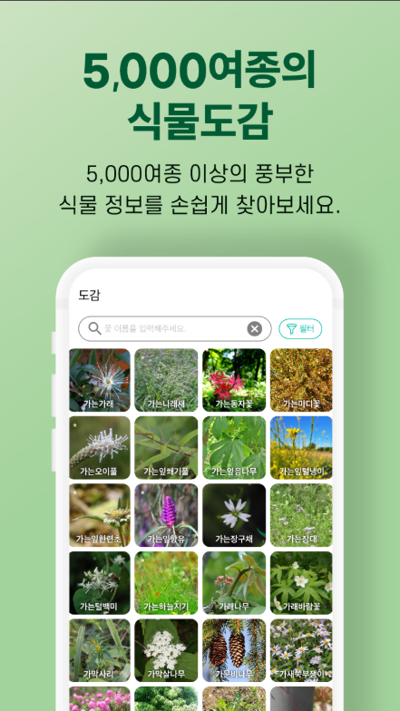 꽃 이름 찾기 어플, 휴대폰으로 꽃 사진을 찍으면 AI가 검색하고 꽃이름 확인하기
