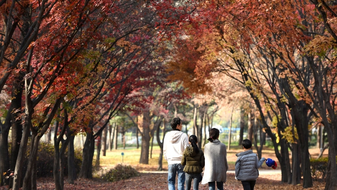 단풍시기07