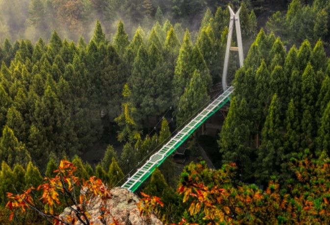 장태산자연휴양림-출렁다리