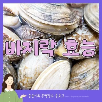 바지락 효능 보관방법 씻는법 해감시키는법_17