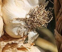 염증에 좋은 음식