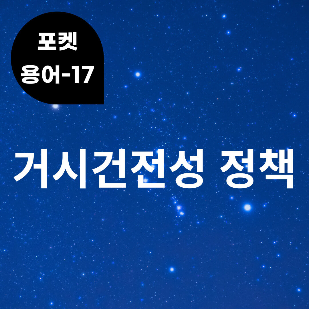 [포켓용어-17] 거시건전성 정책은 무엇?