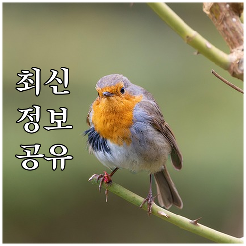 상생소비복권 당첨자 필독! 온누리상품..