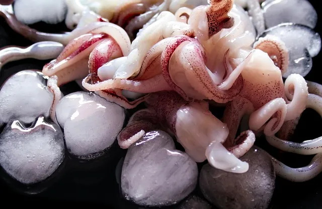 오징어채볶음 맛있게 만드는법 꿀팁_9