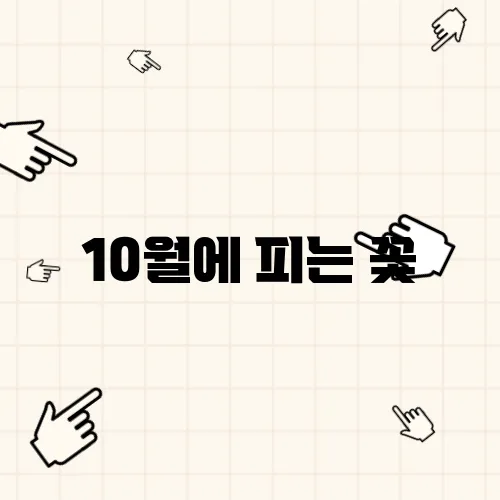 10월에 피는 꽃
