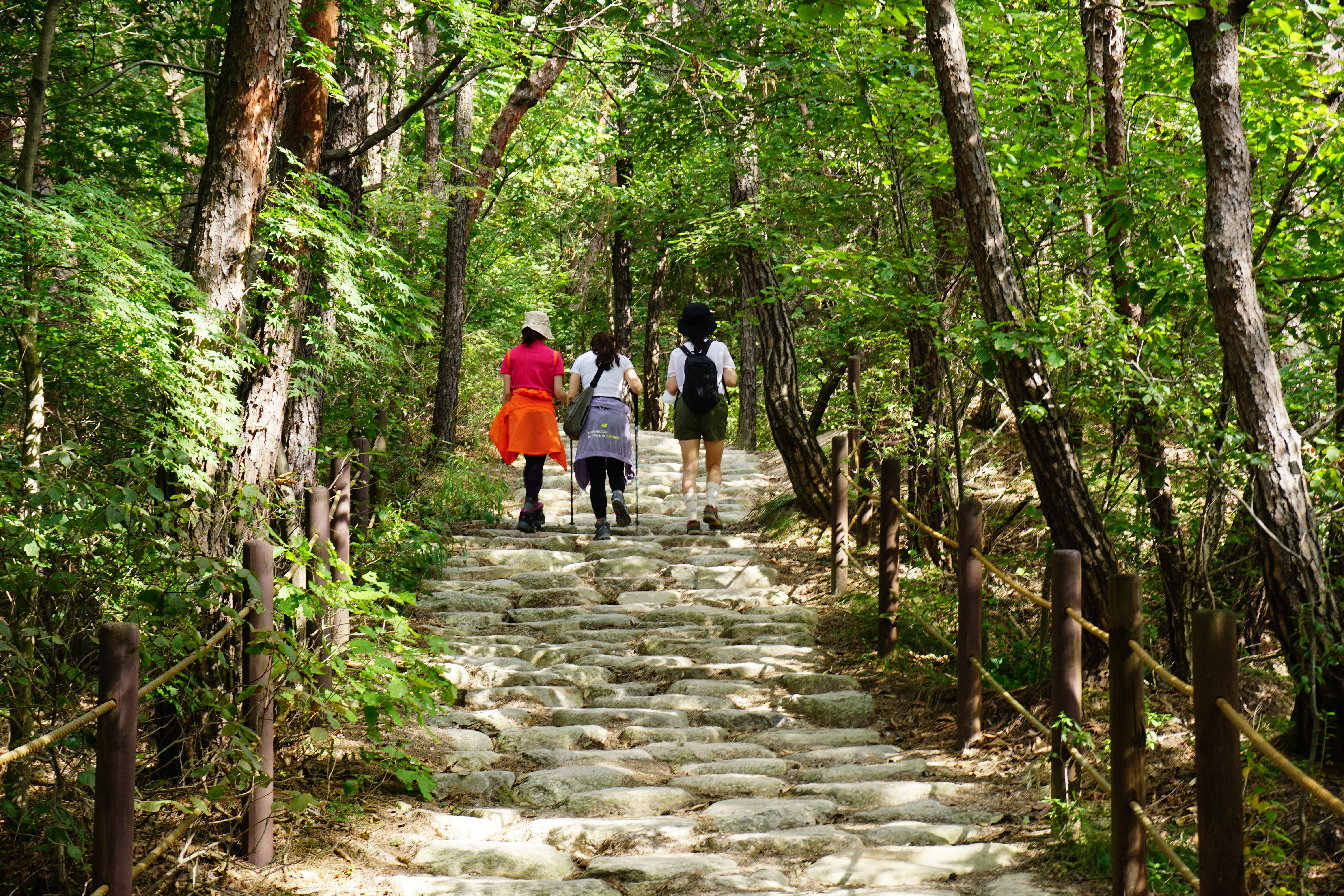 동계단길을 올라가고 있는 세 여인 뒷모습