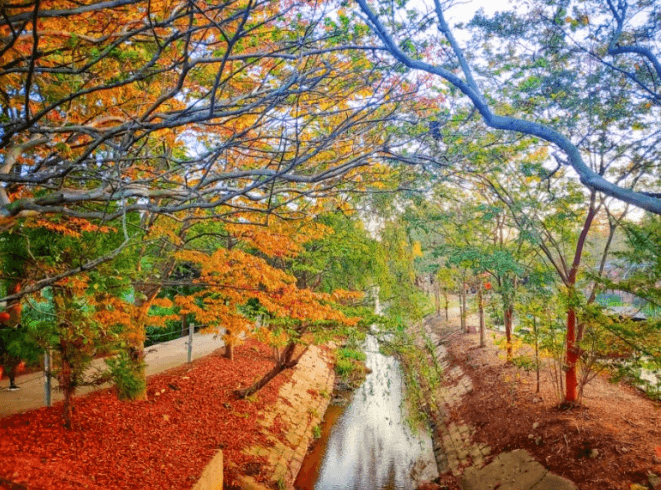 청산수목원